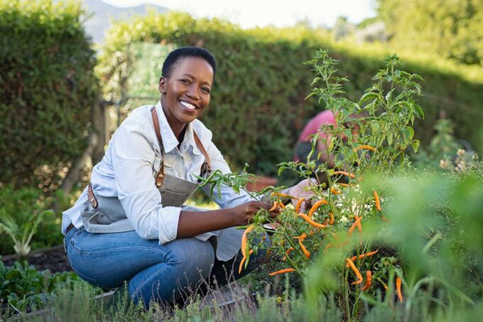 Health issues to take care of in your 40s